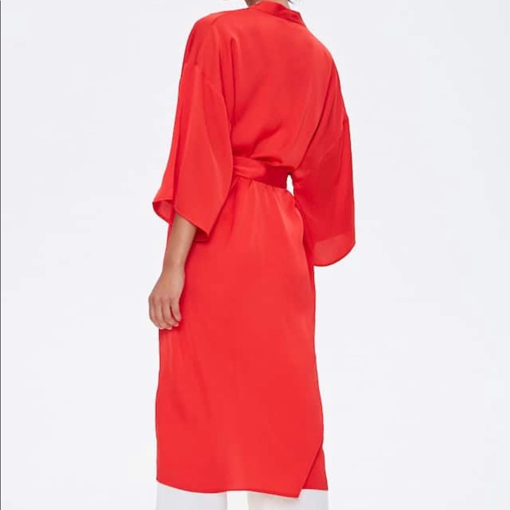 Red Robe - Picture 3 of 4